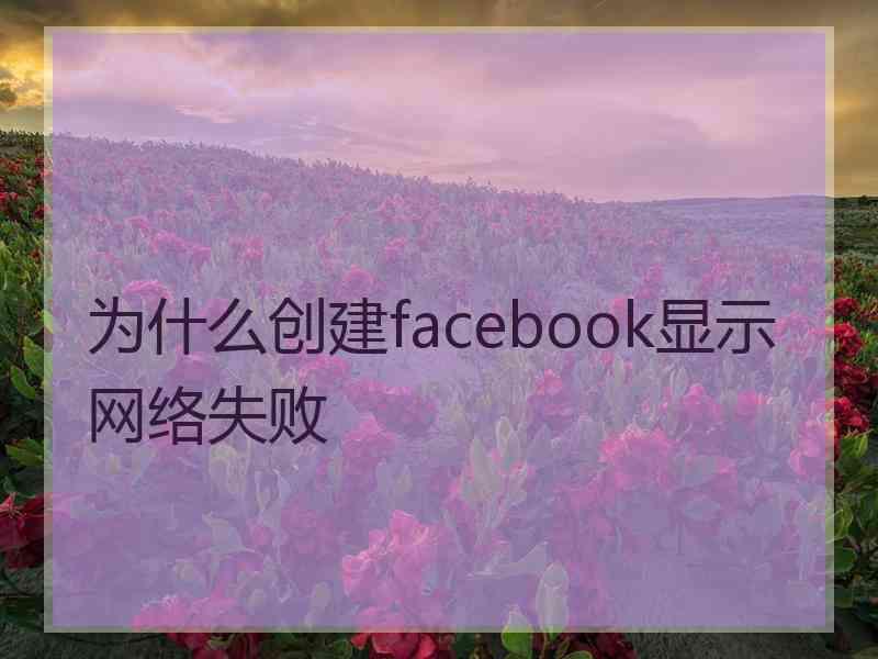 为什么创建facebook显示网络失败