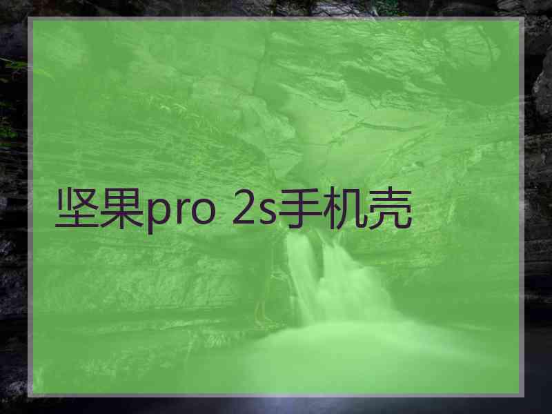 坚果pro 2s手机壳