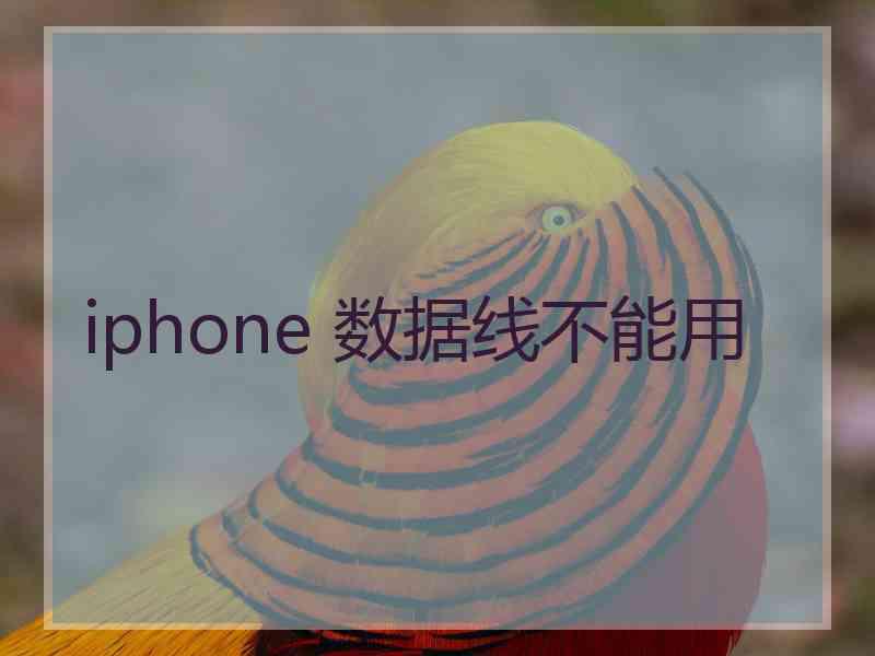 iphone 数据线不能用