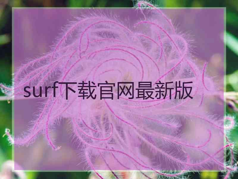 surf下载官网最新版