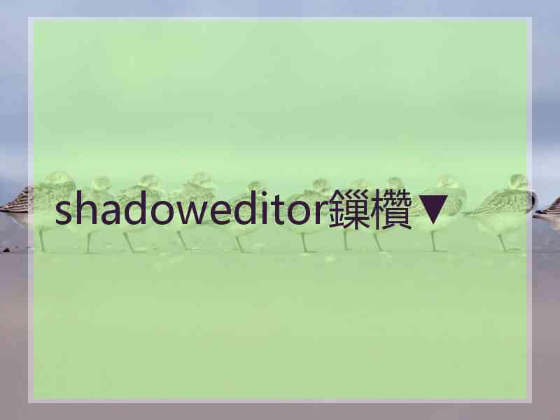 shadoweditor鏁欑▼