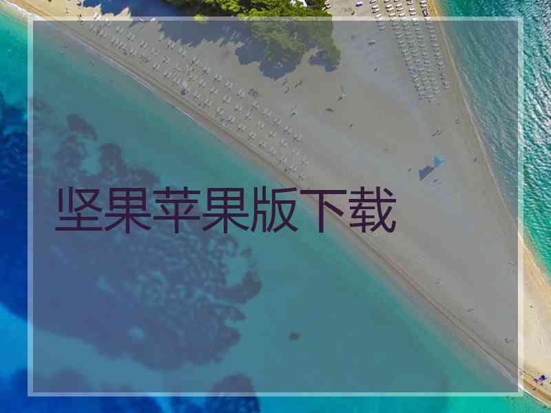 坚果苹果版下载