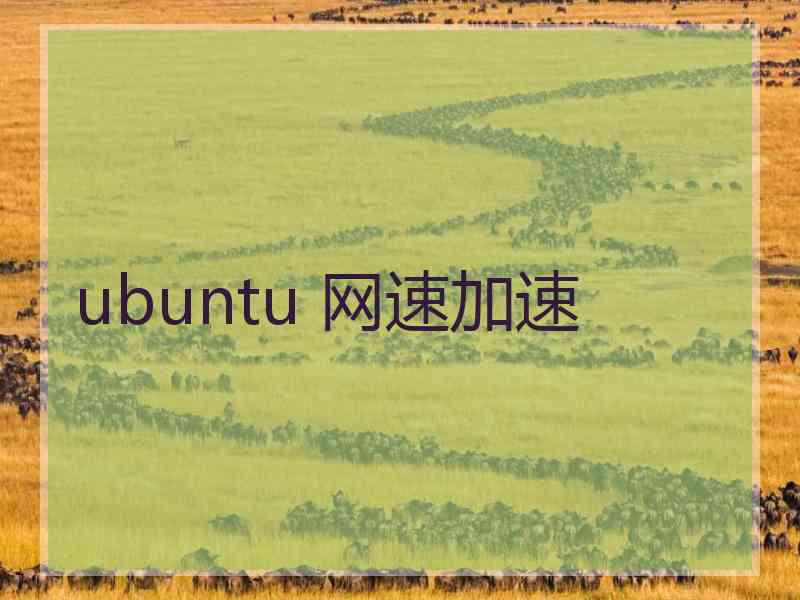 ubuntu 网速加速