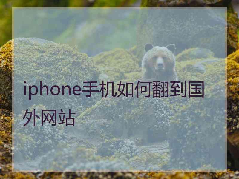 iphone手机如何翻到国外网站