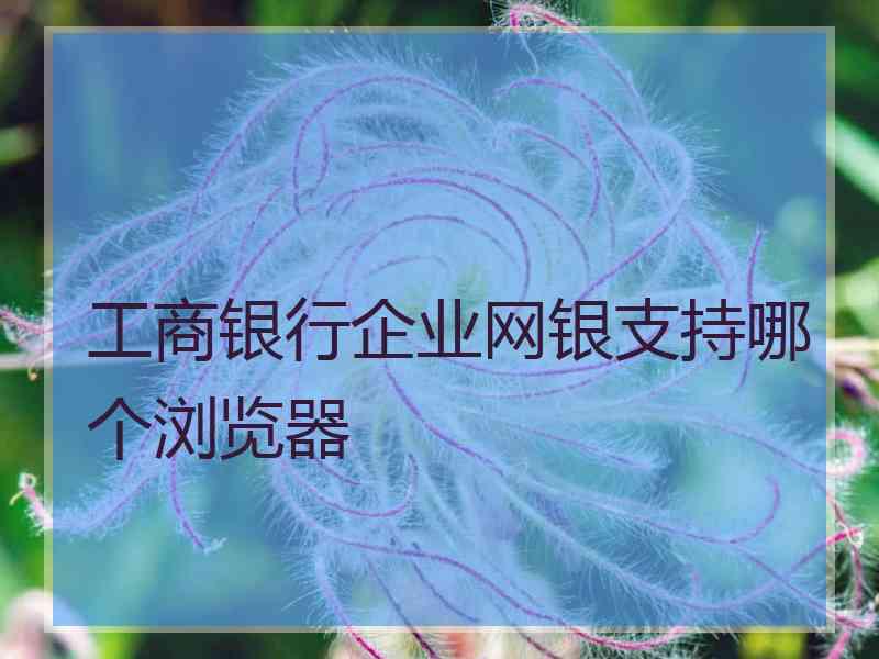 工商银行企业网银支持哪个浏览器