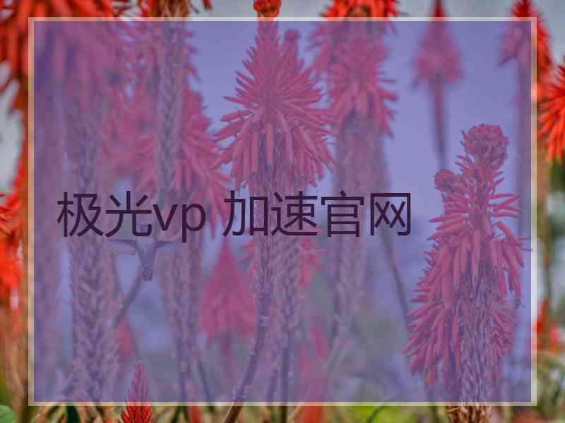 极光vp 加速官网