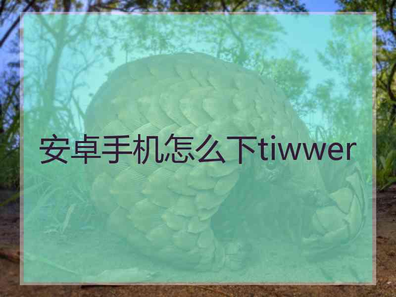 安卓手机怎么下tiwwer