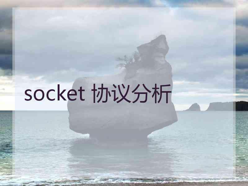 socket 协议分析