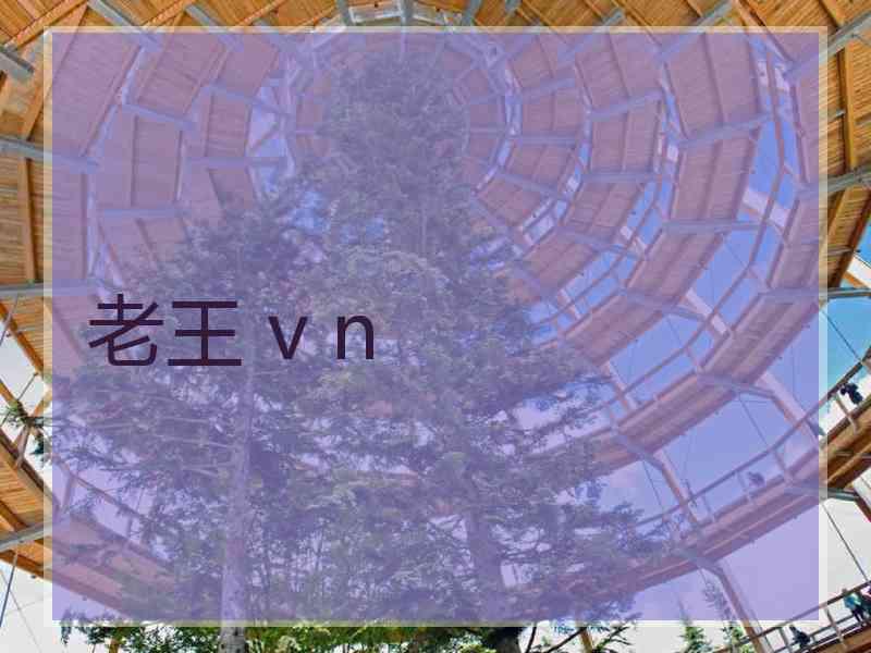 老王 v n