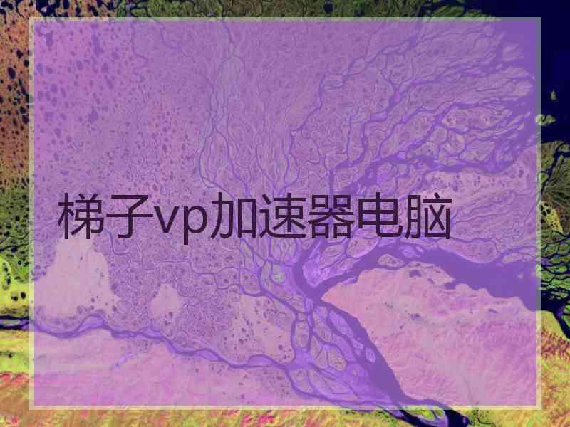 梯子vp加速器电脑