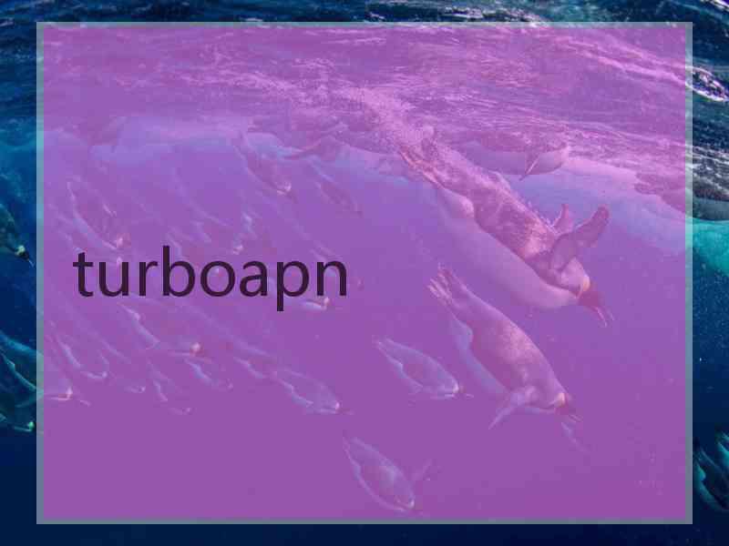 turboapn