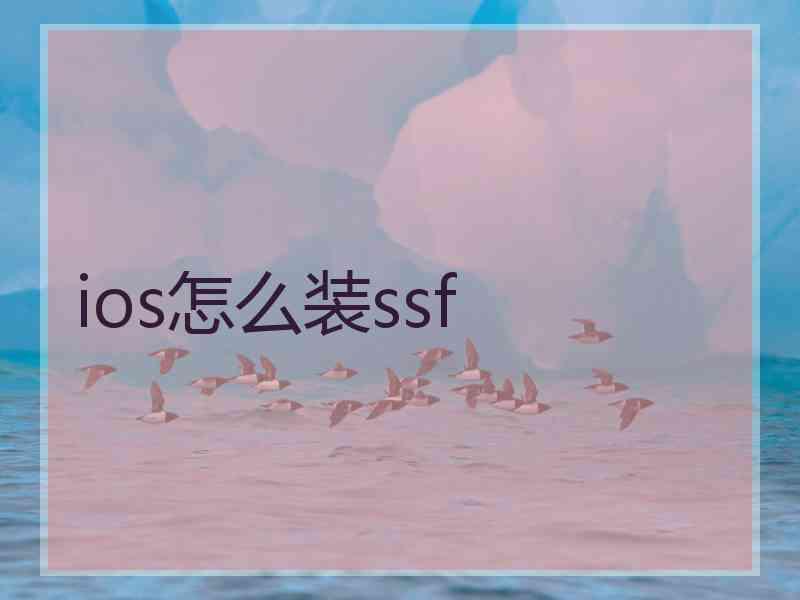 ios怎么装ssf