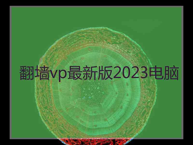 翻墙vp最新版2023电脑