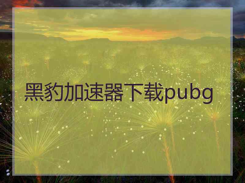 黑豹加速器下载pubg