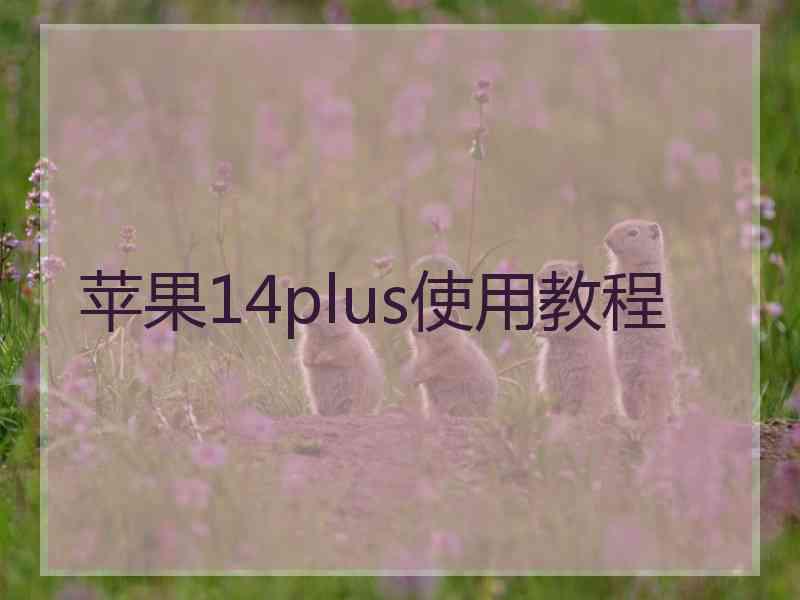 苹果14plus使用教程