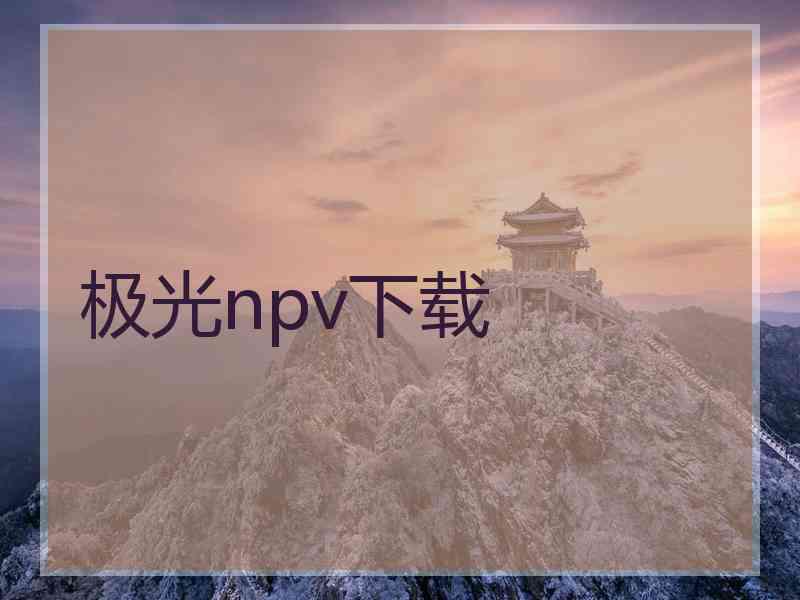 极光npv下载