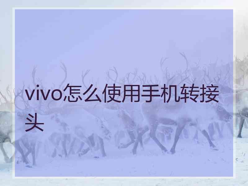 vivo怎么使用手机转接头