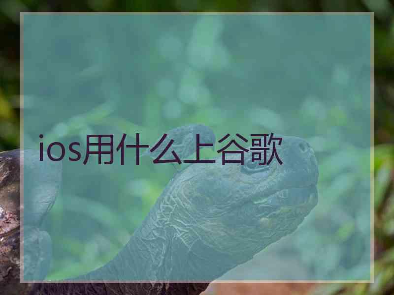 ios用什么上谷歌