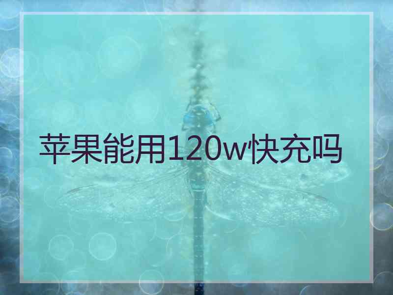 苹果能用120w快充吗