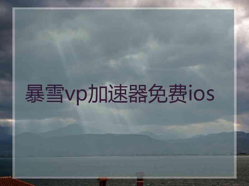 暴雪vp加速器免费ios