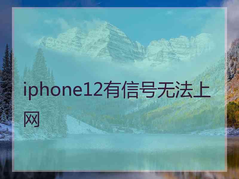 iphone12有信号无法上网