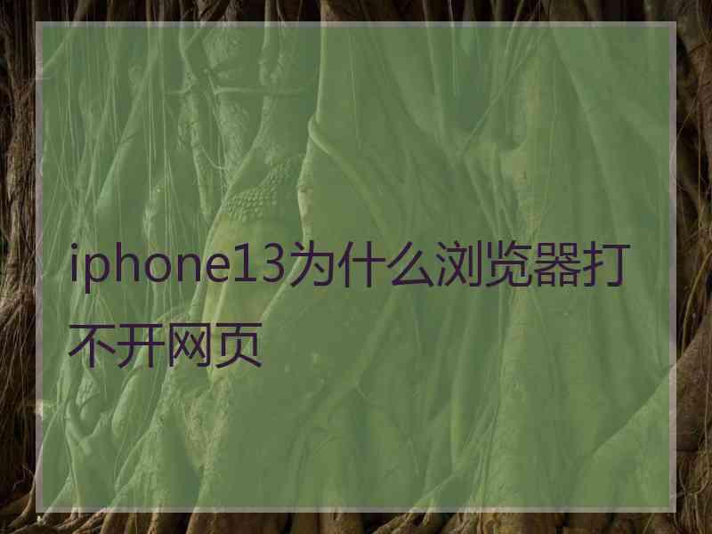 iphone13为什么浏览器打不开网页