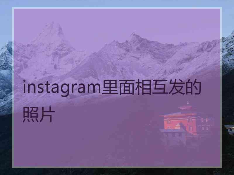 instagram里面相互发的照片