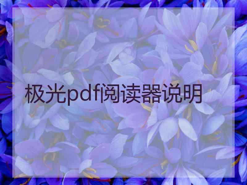 极光pdf阅读器说明