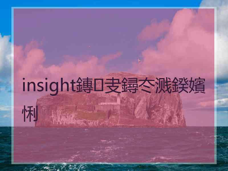 insight鏄叏鐞冭溅鍨嬪悧