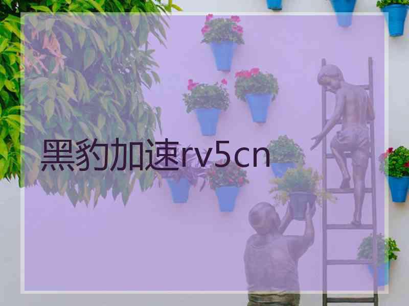 黑豹加速rv5cn