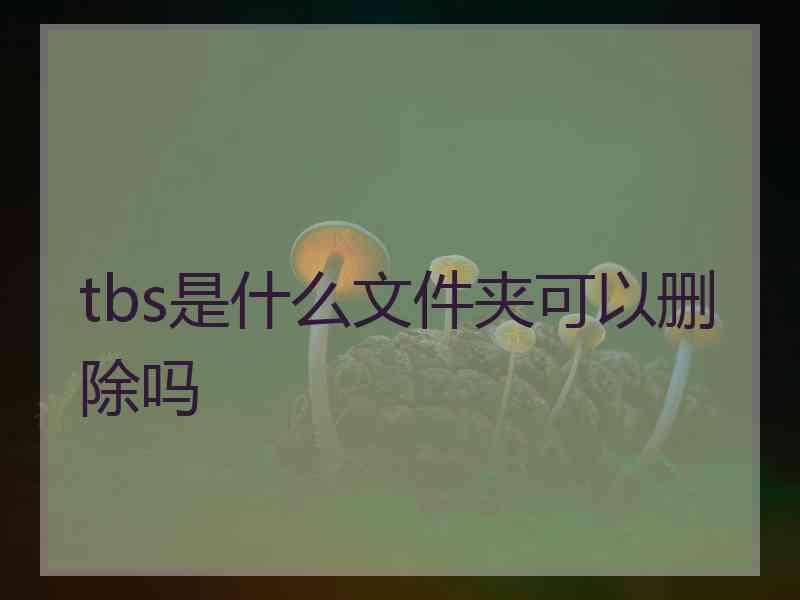 tbs是什么文件夹可以删除吗