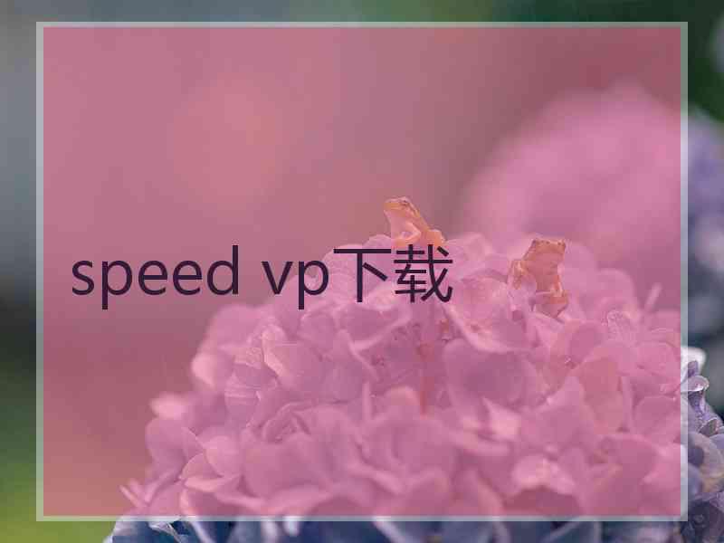 speed vp下载