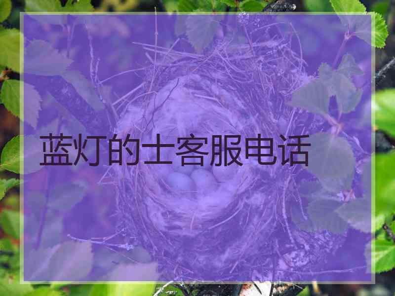 蓝灯的士客服电话