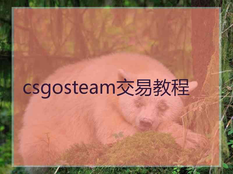 csgosteam交易教程