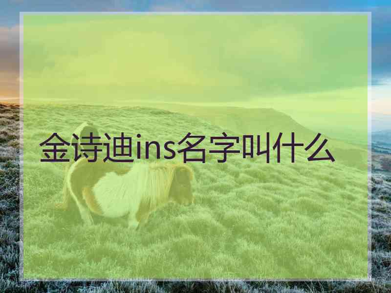 金诗迪ins名字叫什么