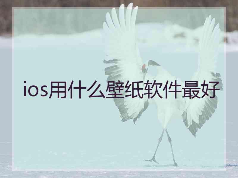 ios用什么壁纸软件最好