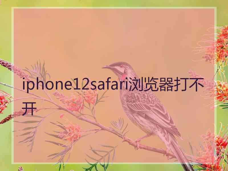 iphone12safari浏览器打不开