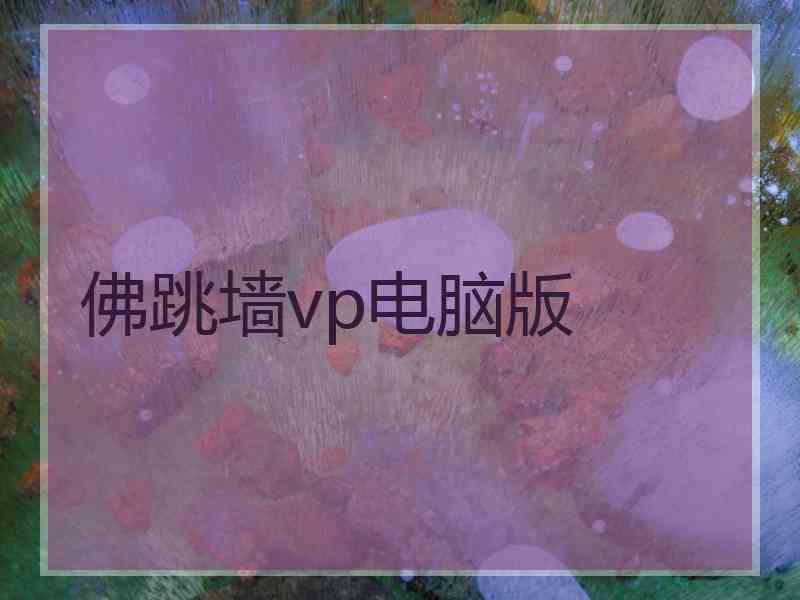 佛跳墙vp电脑版